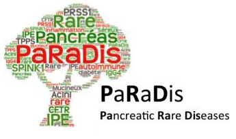 logo Paradis